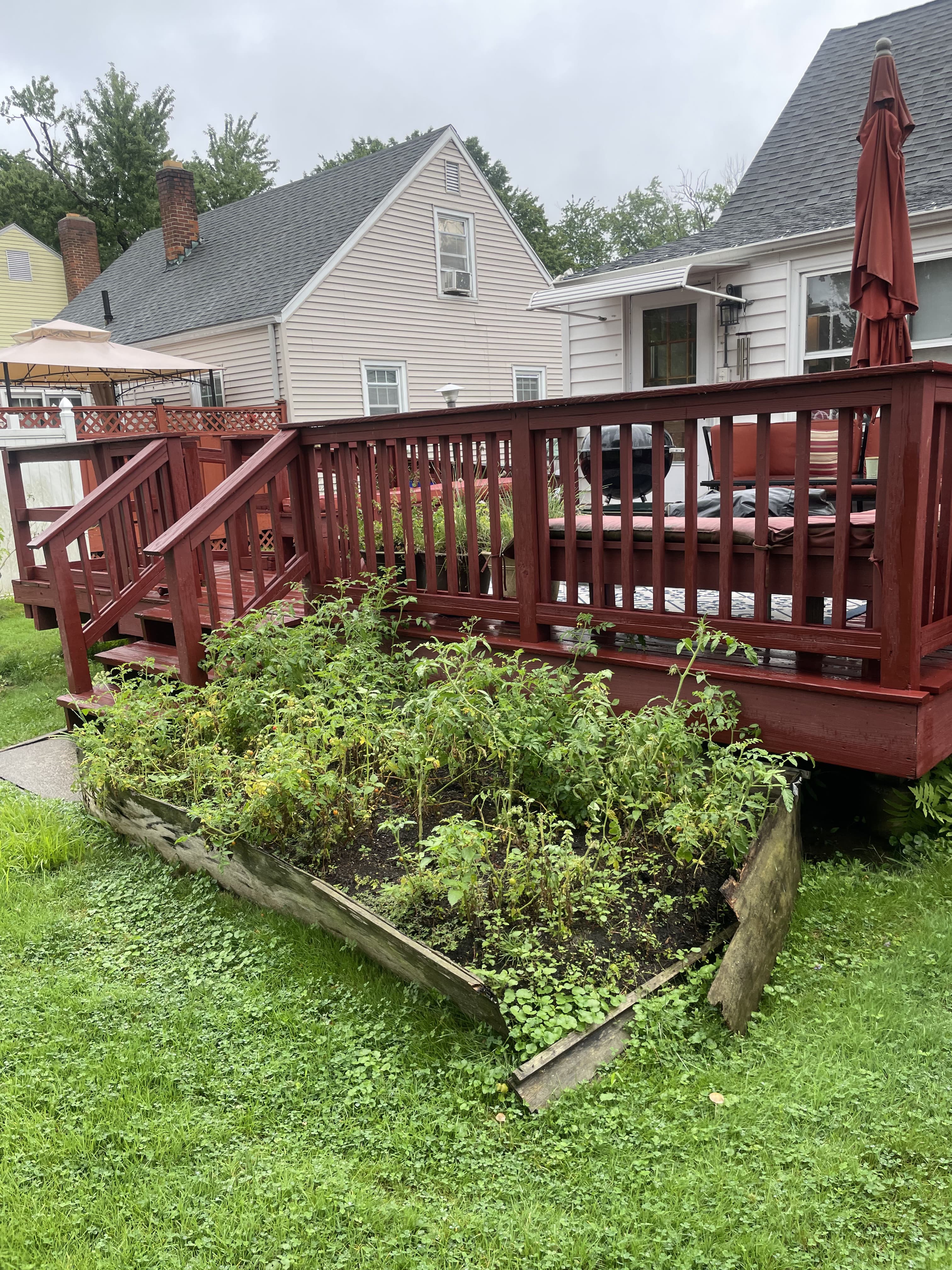 July 29, 2024 photo 4