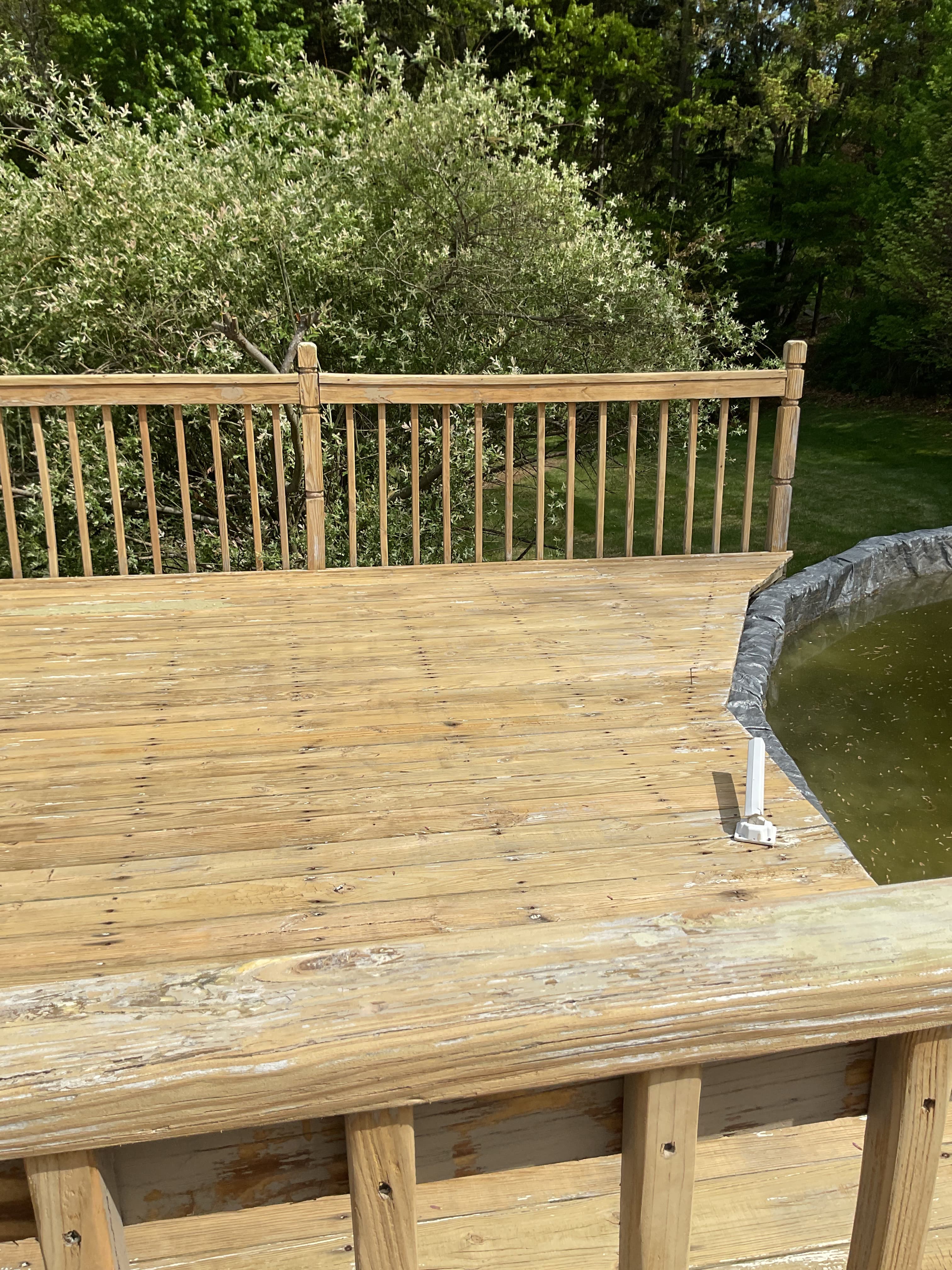 Pool — Before